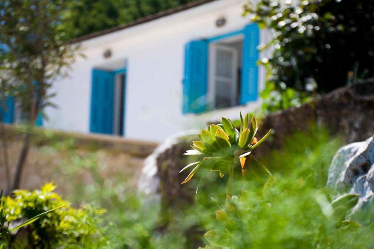 The Olive Cottage - Ithaca Vathy  Extérieur photo